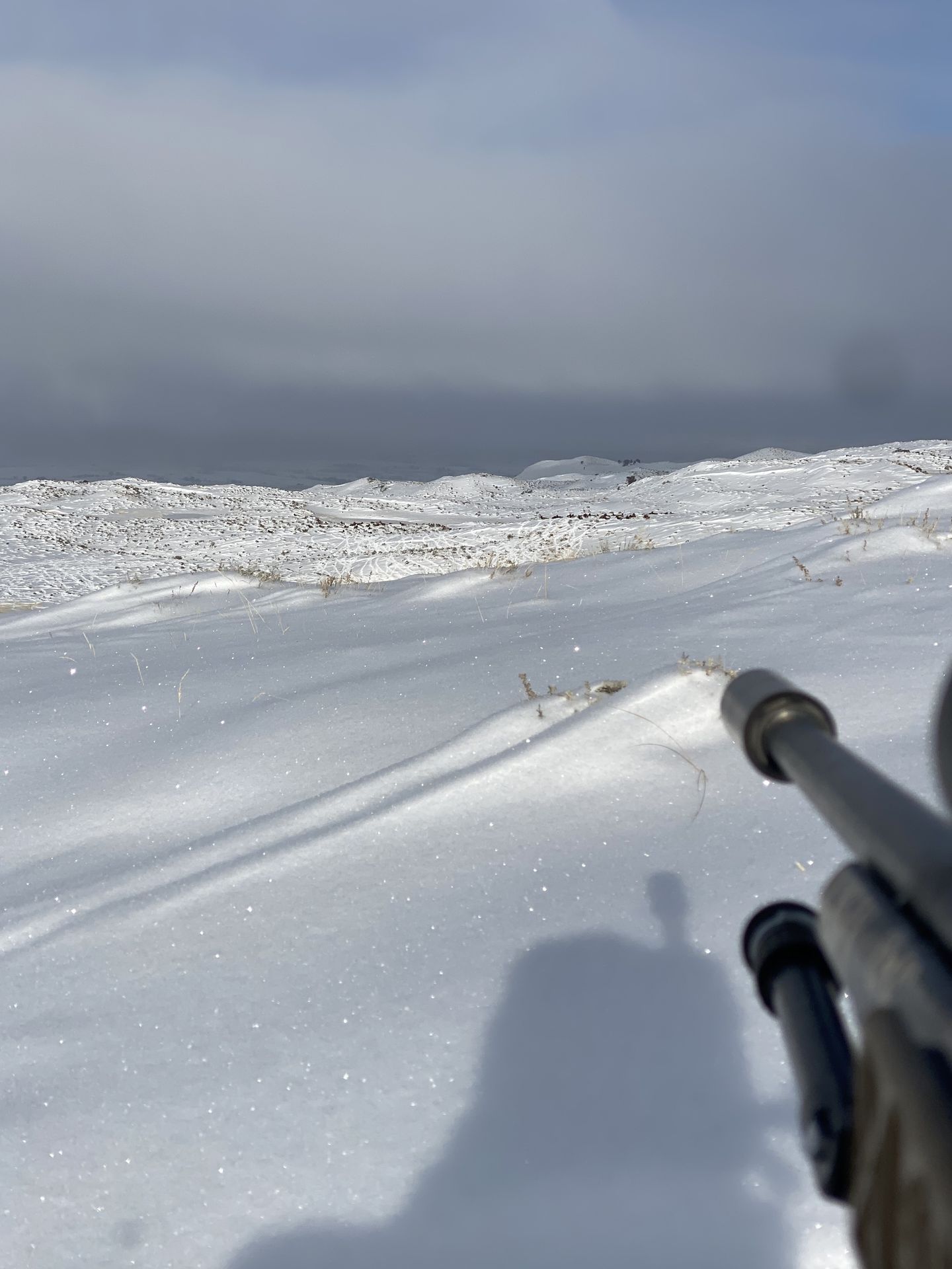 Meeteetse Rim Cow Elk Hunt with 2-day Field Marksmanship Clinic | Gunwerks